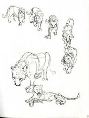 Sketchbook Page - Lions